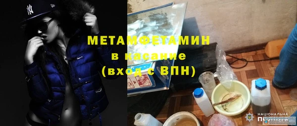 сатива Алзамай
